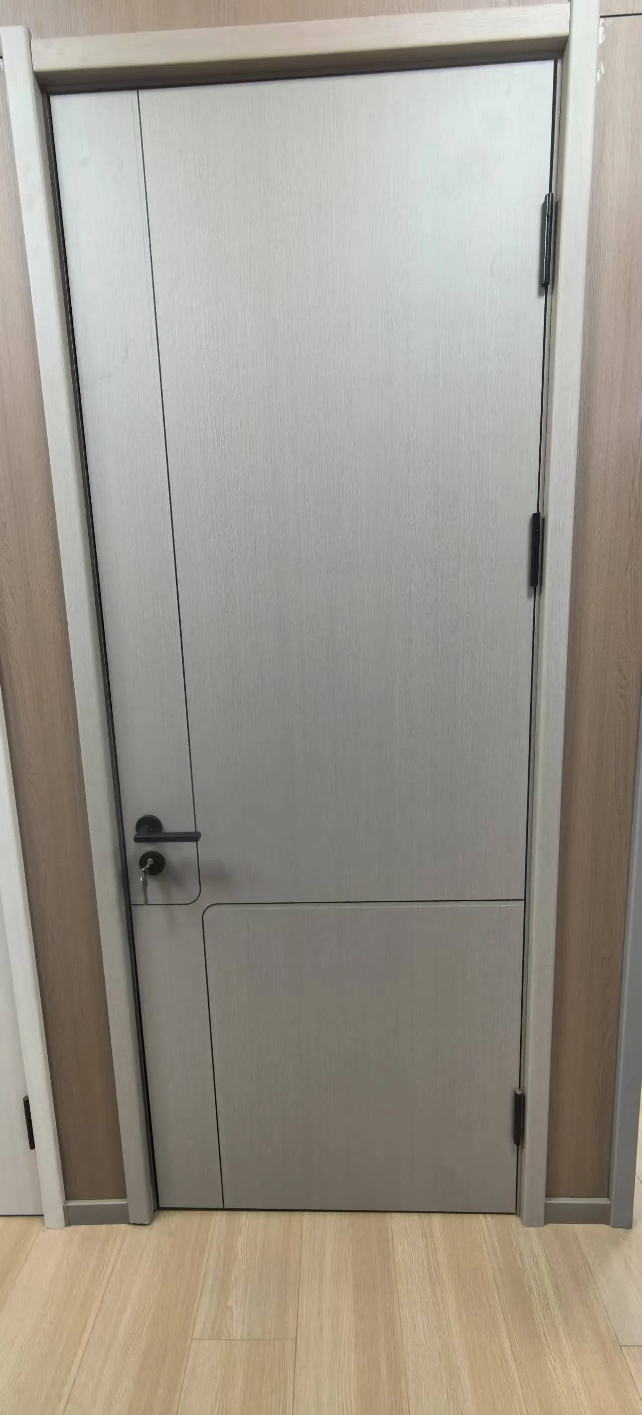 Premium Fire Rated Interior Door for Schools and Offices