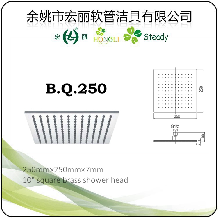 B. Q. 5040 Brass Shower Head