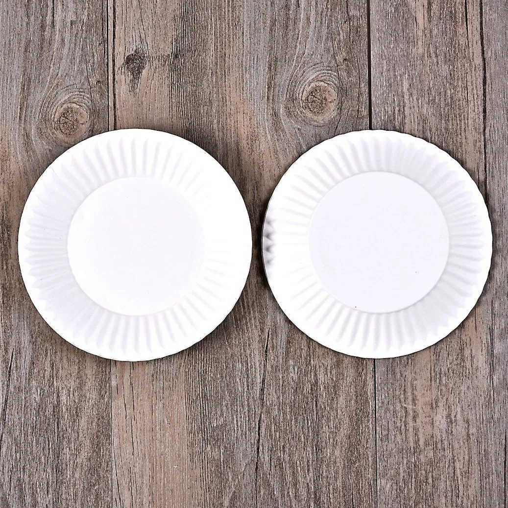 Wholesale Cake Plate Sugar Cane Pulp Plate White Disposable Paper Plate Bagasse