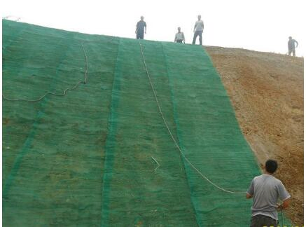 Erosion Control Mat 3D Geomat for Construction
