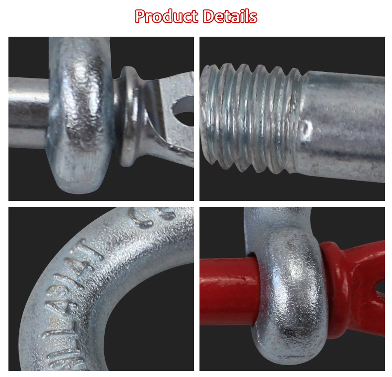 High quality Strong Mini D Shaped Bow Shackle 3mm Silver Color Marine Grade Stainless Steel