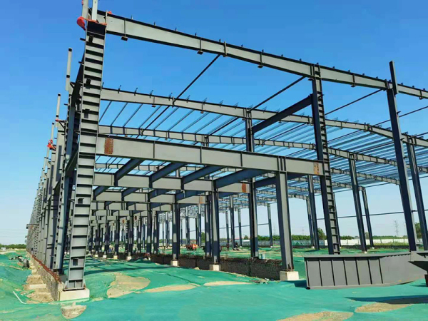Heavy-Duty Steel Poultry Farm Structure for Hotel Building Projects