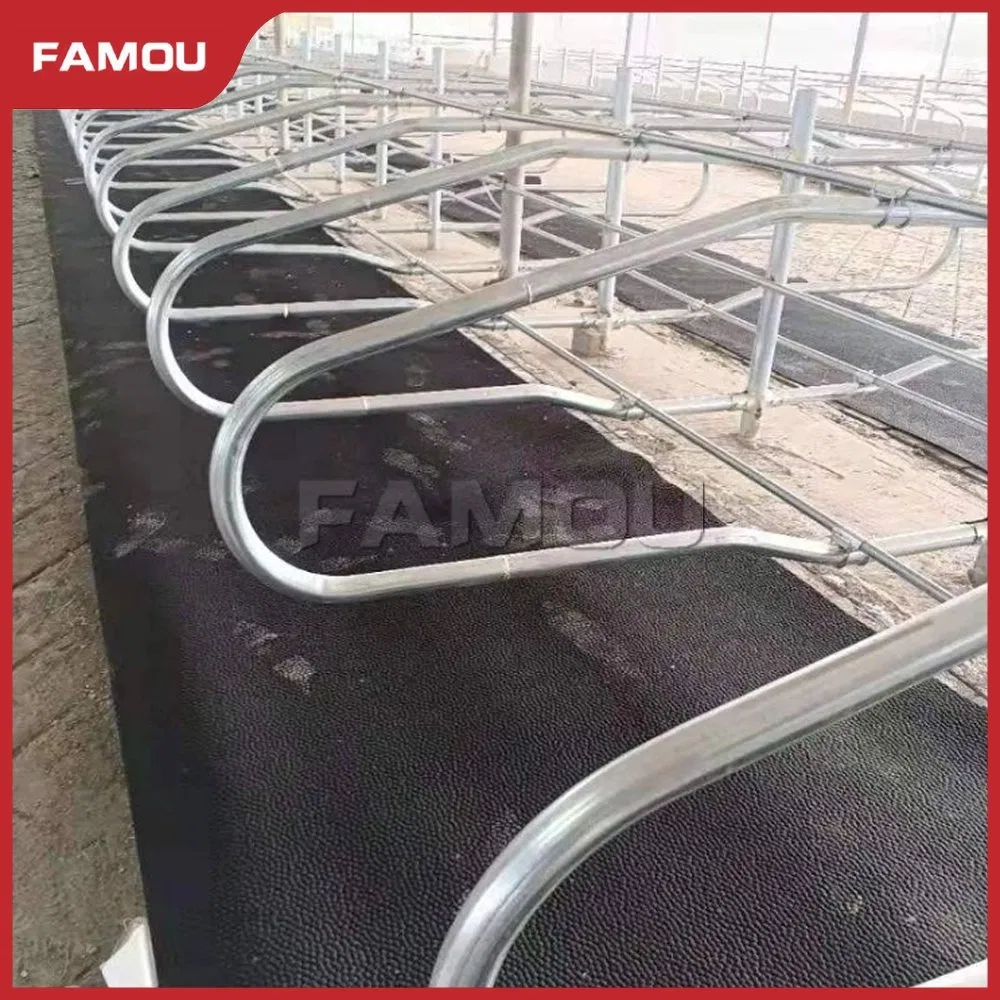 Premium Cattle Free Stall with Long-Lasting Fence Solution