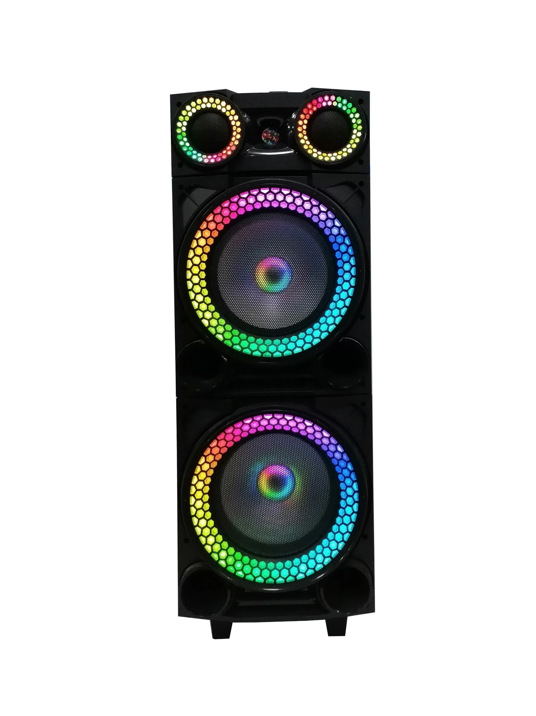 Double 10 Inch Plastic + Wooden Case Professional Speaker Woth Lighting