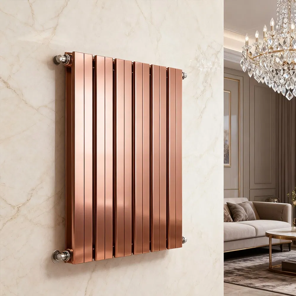 Rapid Warming Minimalist Design Aluminum Steel Composite Radiator for Residential & Commercial
