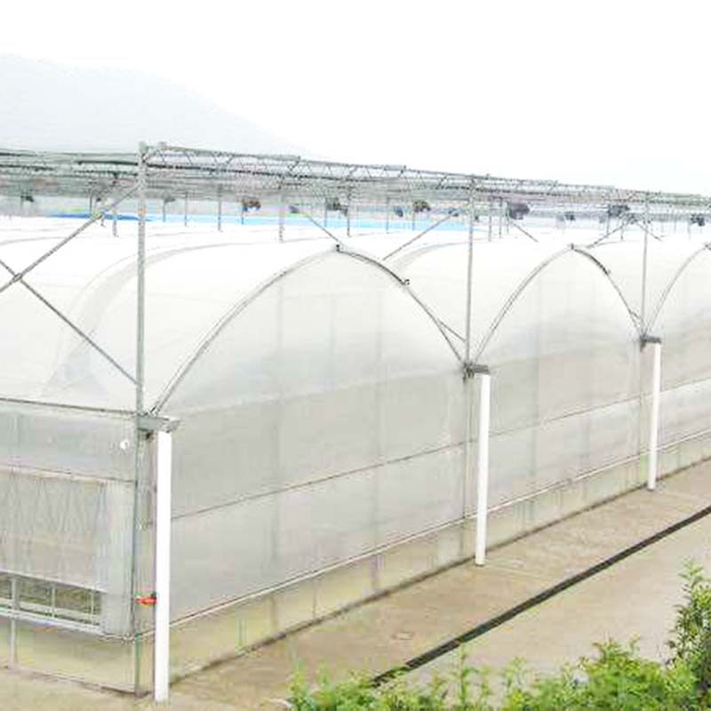 PE 150mic Tunnel Plastic Agricultural Multi Span Film Greenhouses with Shading System