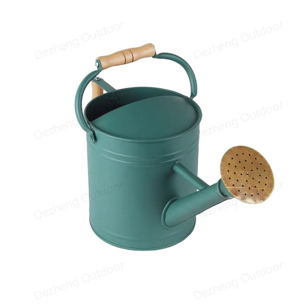 Wholesale Watering Can Plant Watering Perfect for Indoor Outdoor