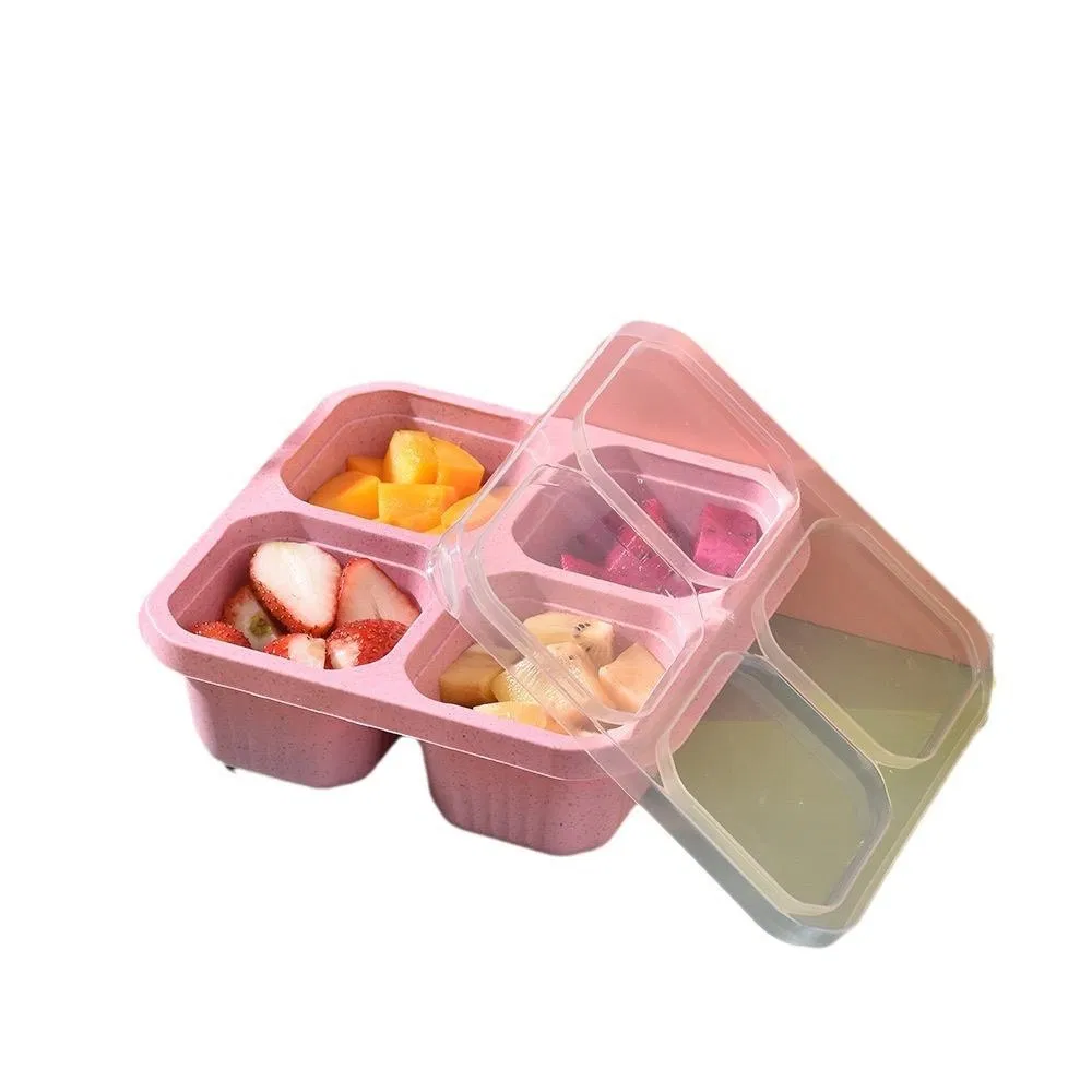 Ultimate Insulated Lunch Box for Fresh Meals on-The-Go