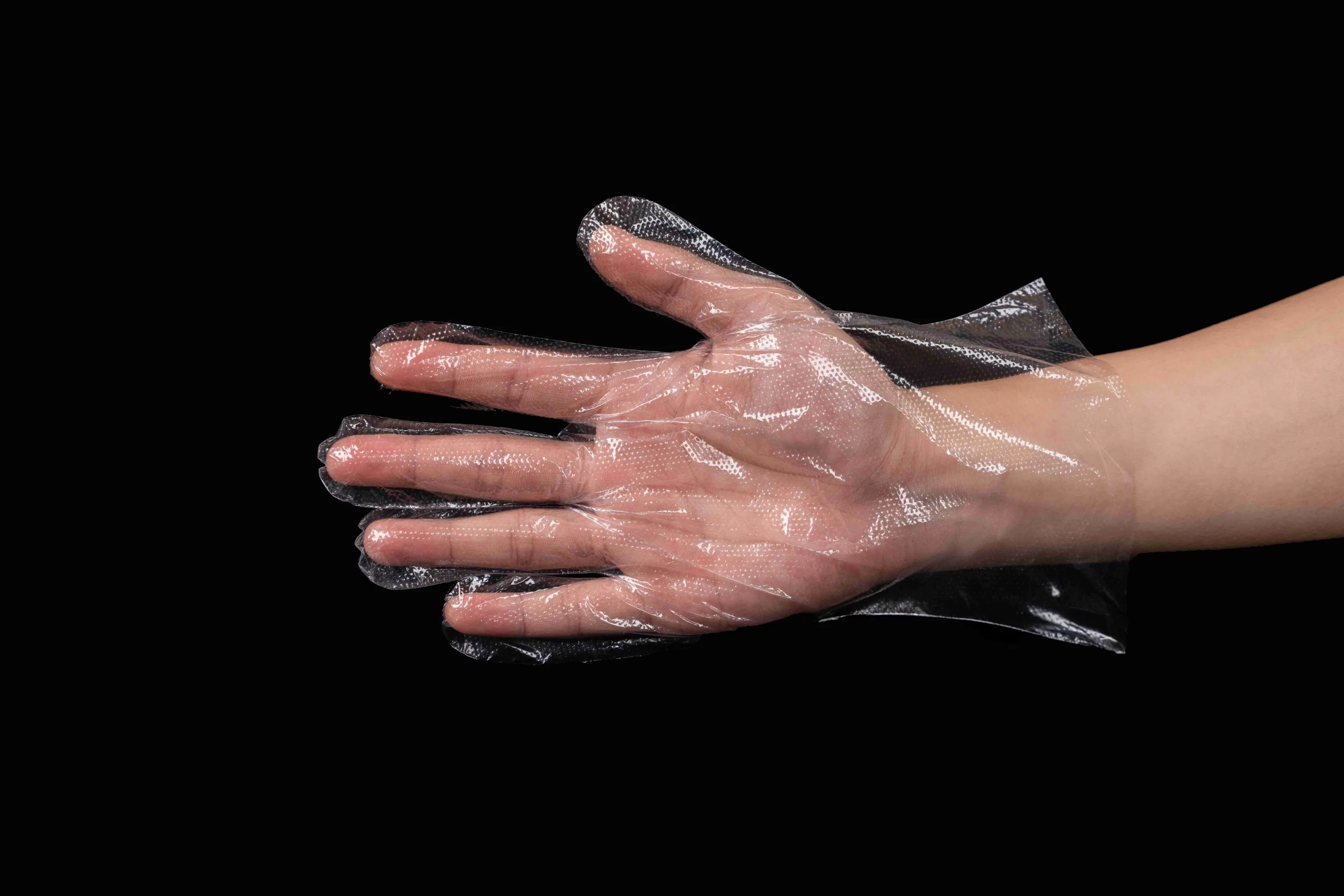 Disposable Plastic PE Gloves for Wholesale