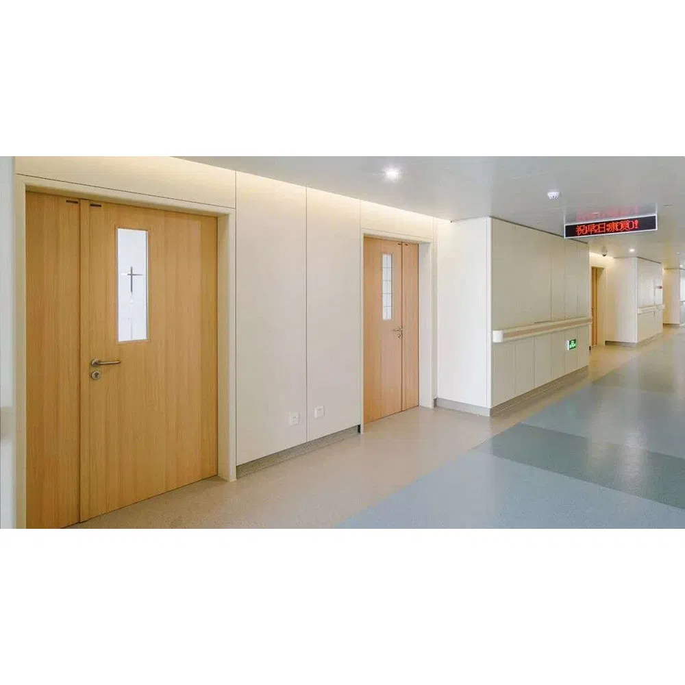 Exterior & Interior Single or Double Modular Stainless Steel Cleaning Security Clean Room Steel Entry Door in Pharmaceutical Industry