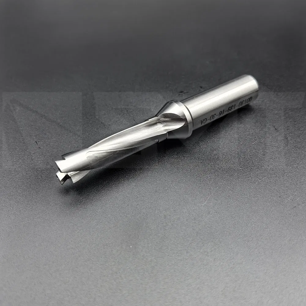 Hole-Making-Drilling-Head Exchangeable Drills-Drill Body-Qd130-139-16-3xd-Ca