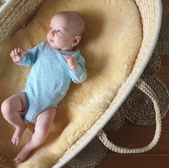 Premium Quality Genuine Sheepskin Fur Long Wool Bassinet Liner in Different Colors