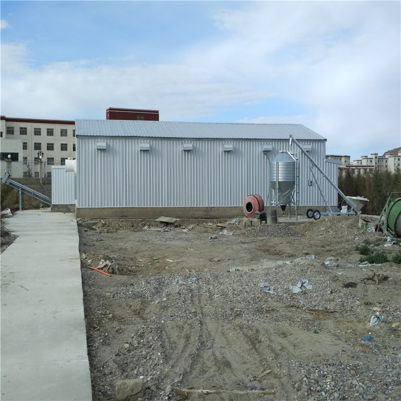 Low Cost Factory Customized Semi-Automatic Modern Steel Egg Chicken Shed