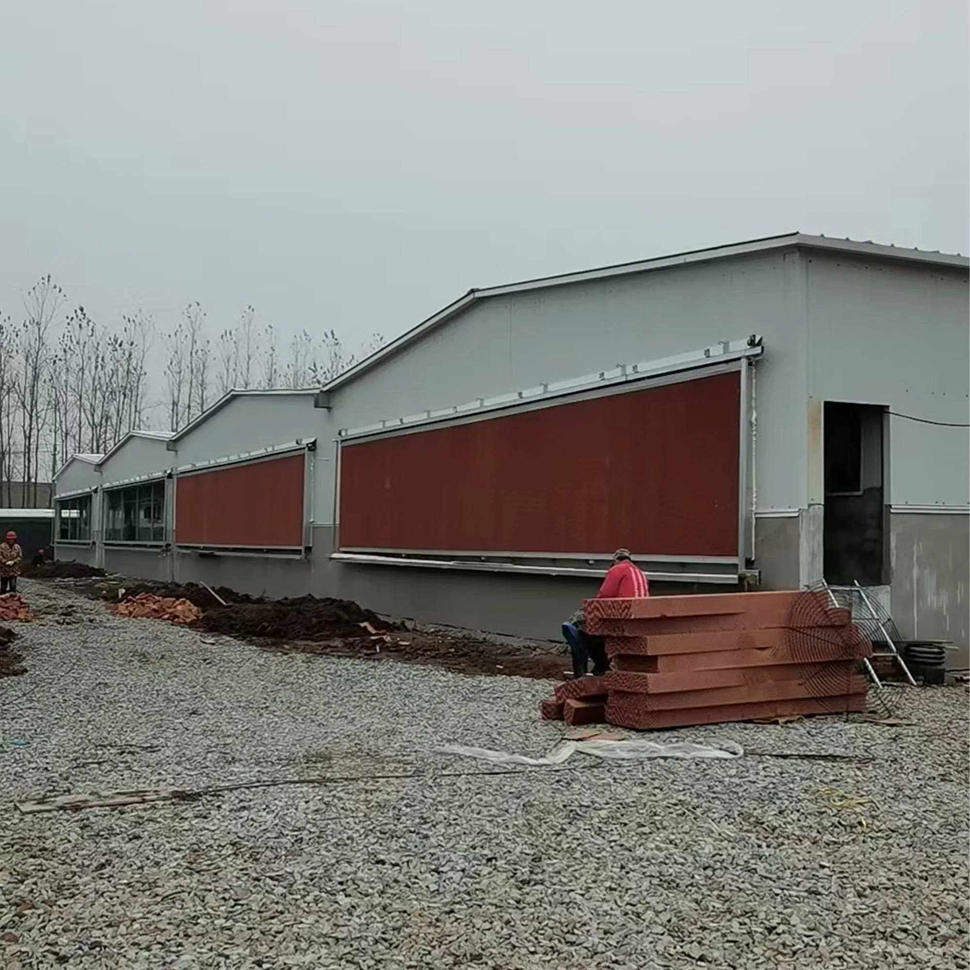 Customizable Poultry Farm Quick Installation Design High-Quality Light Weight Steel Structure Prefabricated Pig Shed House