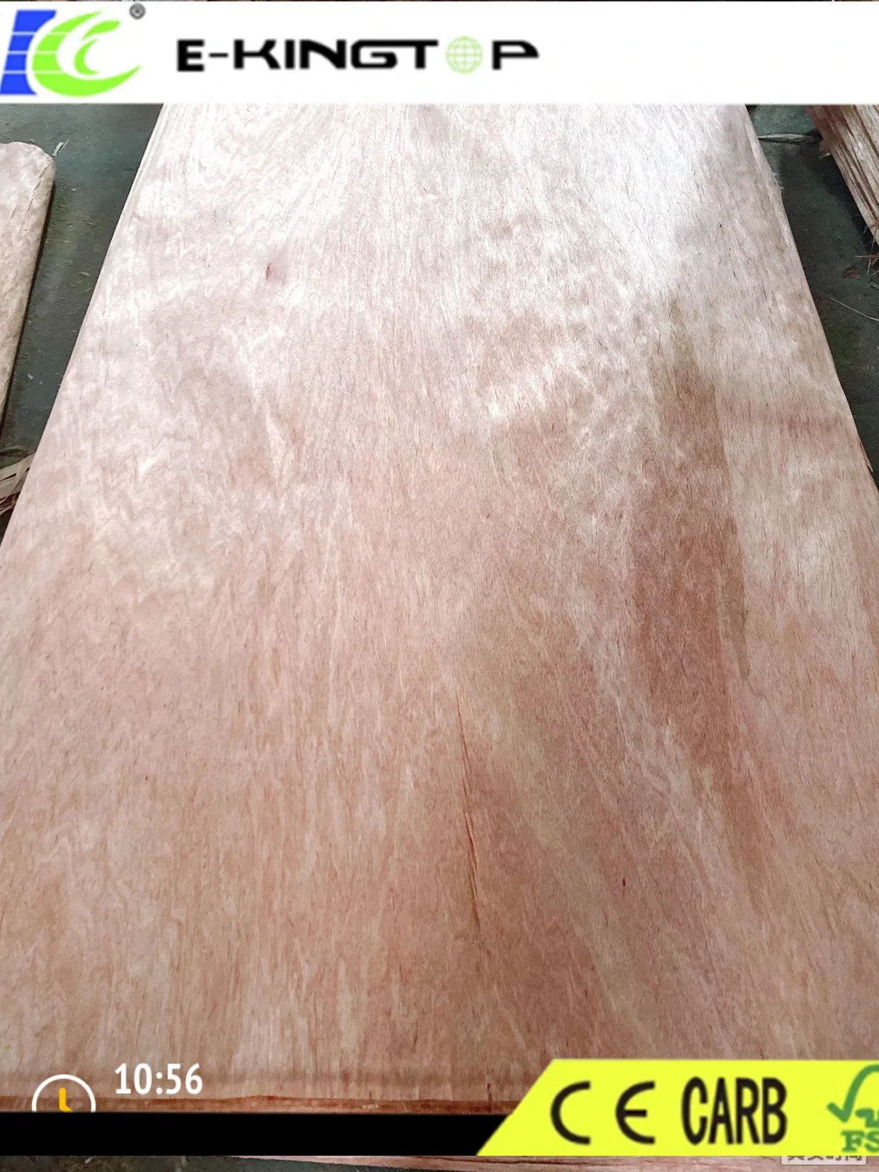 Natural Wood and Engineer Veneer, Bintangor, Birch, Pine, Okoume, Oak, Beach, Walnut Veneer