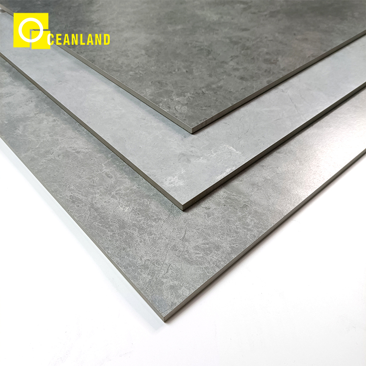 China Gray Color Home Glossy Floor Matte Rustic Porcelain Tile