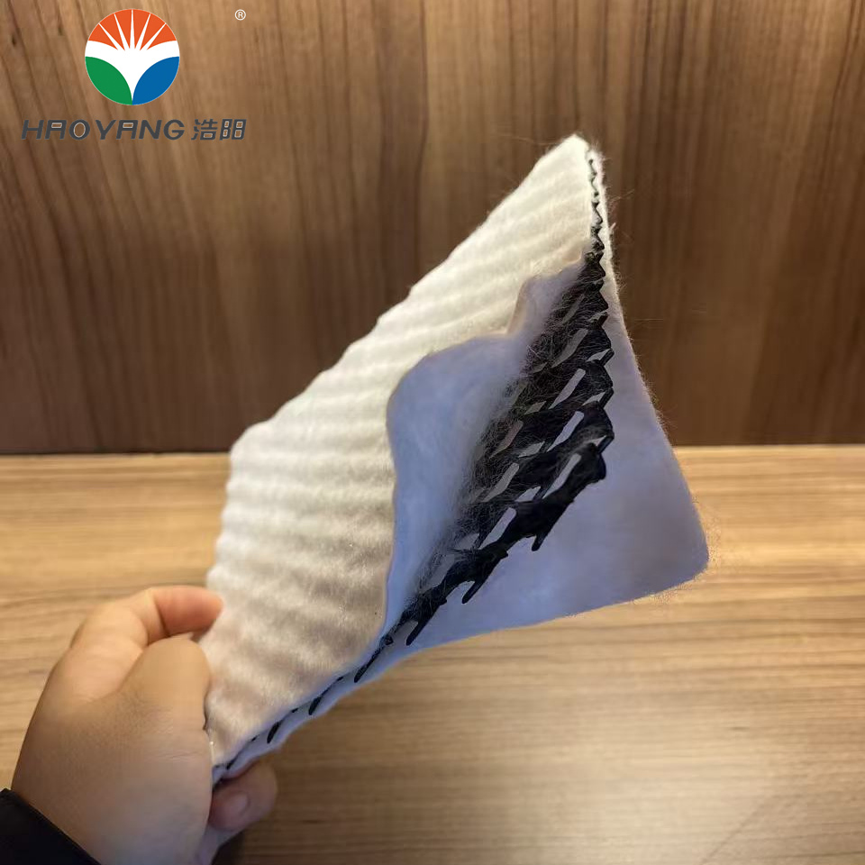 Excellent Drainage Net for Road Construction/Mining Tailings Pond