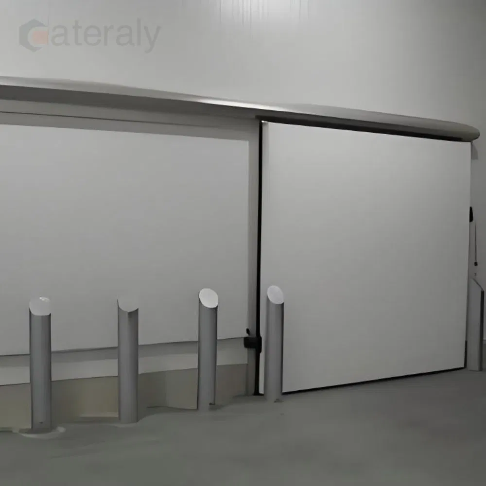 Weather-Resistant Cold Room Door with Customizable Features Available