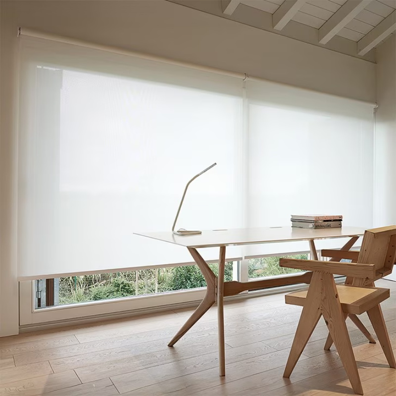 Commercial Elegant Motorized Smart Roller Blinds Windproof Automatic Window Roller Blinds for Windows