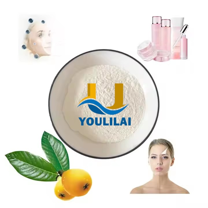 Factorysupply 99% Alpha Arbutin Powder CAS 84380-01-8 for Skin Care Cosmetics Raw Material