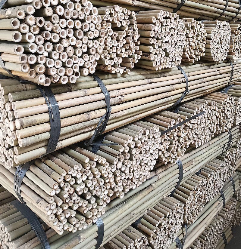 Bamboo Trellis for Vines/Wholesale Bamboo Sticks