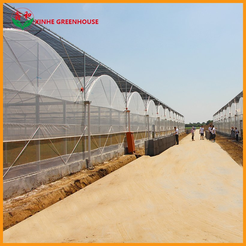 Farm Multi Span Garden Warm Agro Arch Type Vegetables Greenhouse for Agriculture