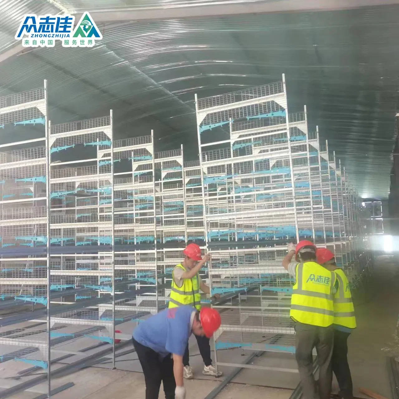 Многоярусная клеточная батарея для птицеводства H-образная