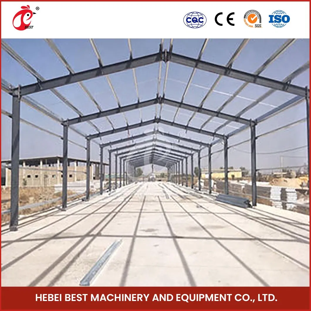 Bestchickencage Steel Poultry House China Automatic Steel Poultry Cages Supplier OEM Customized Prefabricated Steel Structure Chicken Broiler House