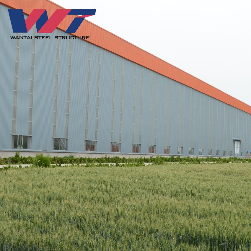 Steel Warehouse/Factory Warehouse/Steel Structural Building