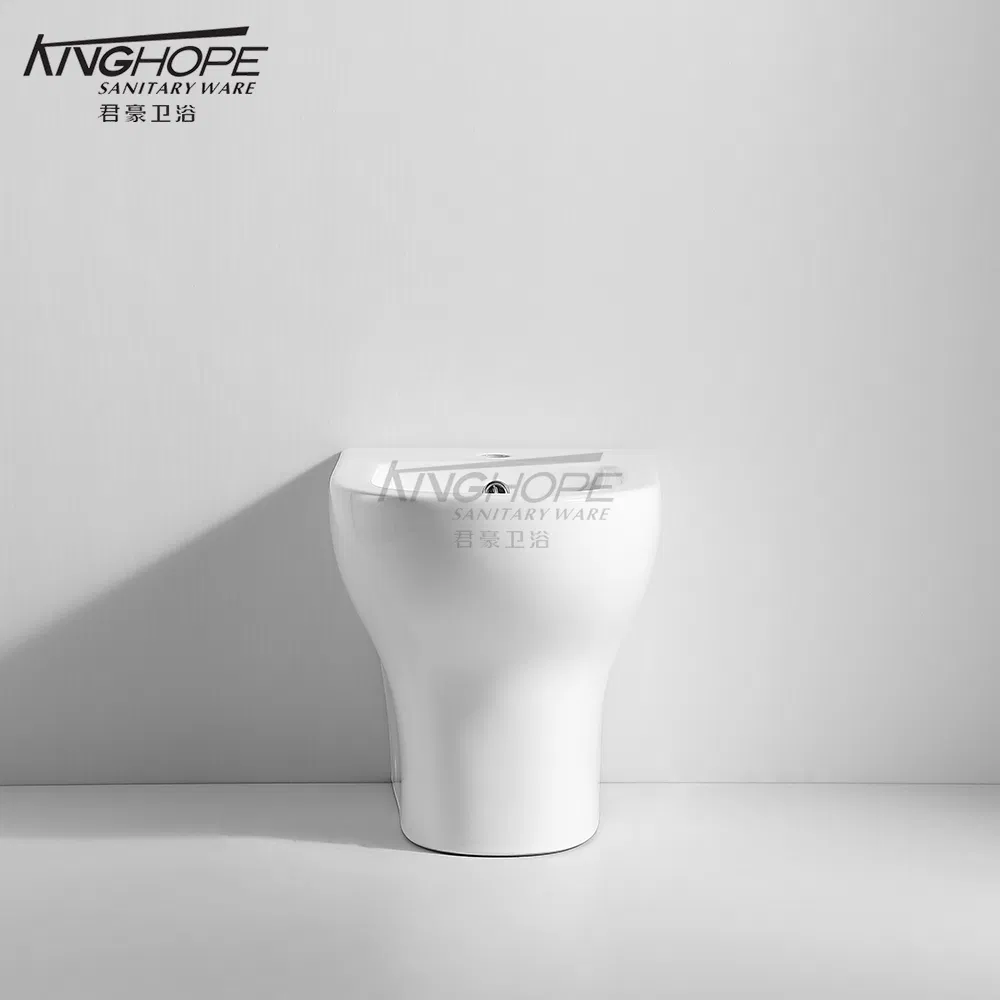 Modern Home Use Factory Direct Sale Floor-Mounted Bidet for Use with Toilet