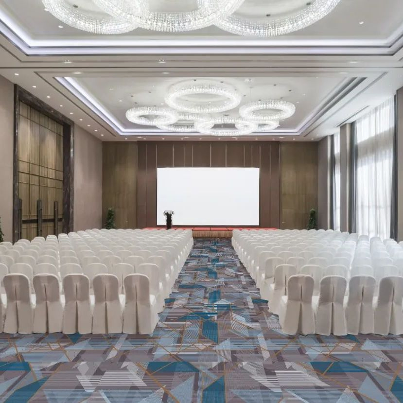 Chinese Supplier Design Modern Style Soft Wear Resistance Floor Carpet for Hotel
