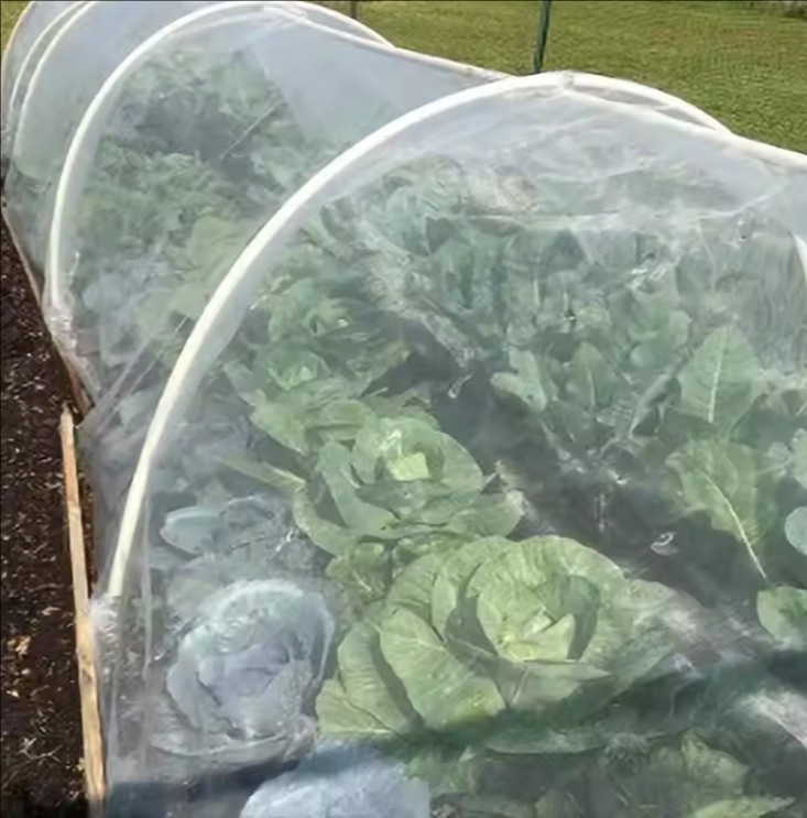 Plastic Anti-Insect Screen Greenhouse Agricultural Farm Insect-Proof Mesh Net