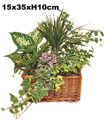 Горшок деревянный уличный для растений