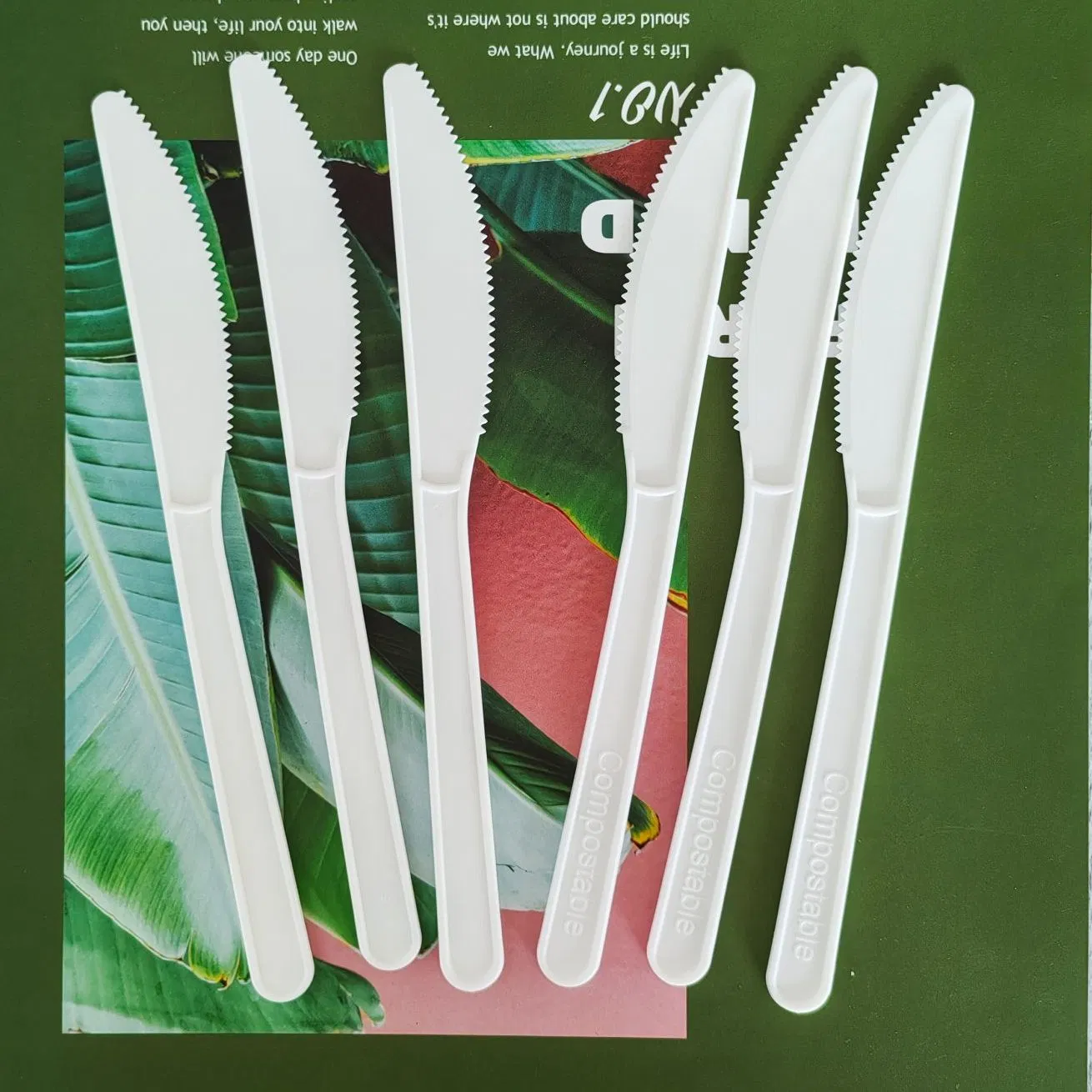 Excellent Quality Eco-Friendly Disposable Food Grade Biodegradable Compostable Forks and Knives