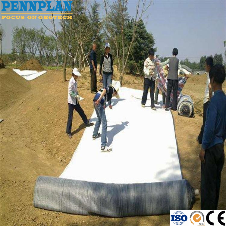 Prevent Groundwater Infiltration and Protect The Structure and Foundation of Buildings Geosynthetic Clay Liner