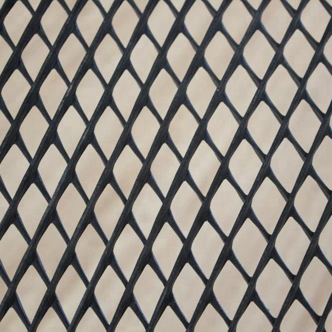Two Dimension HDPE 4mm 5mm 6mm Biplanar Drainage Geonet Hot Bonded with Geotextile Geocomposite for Lanfill Factory Price