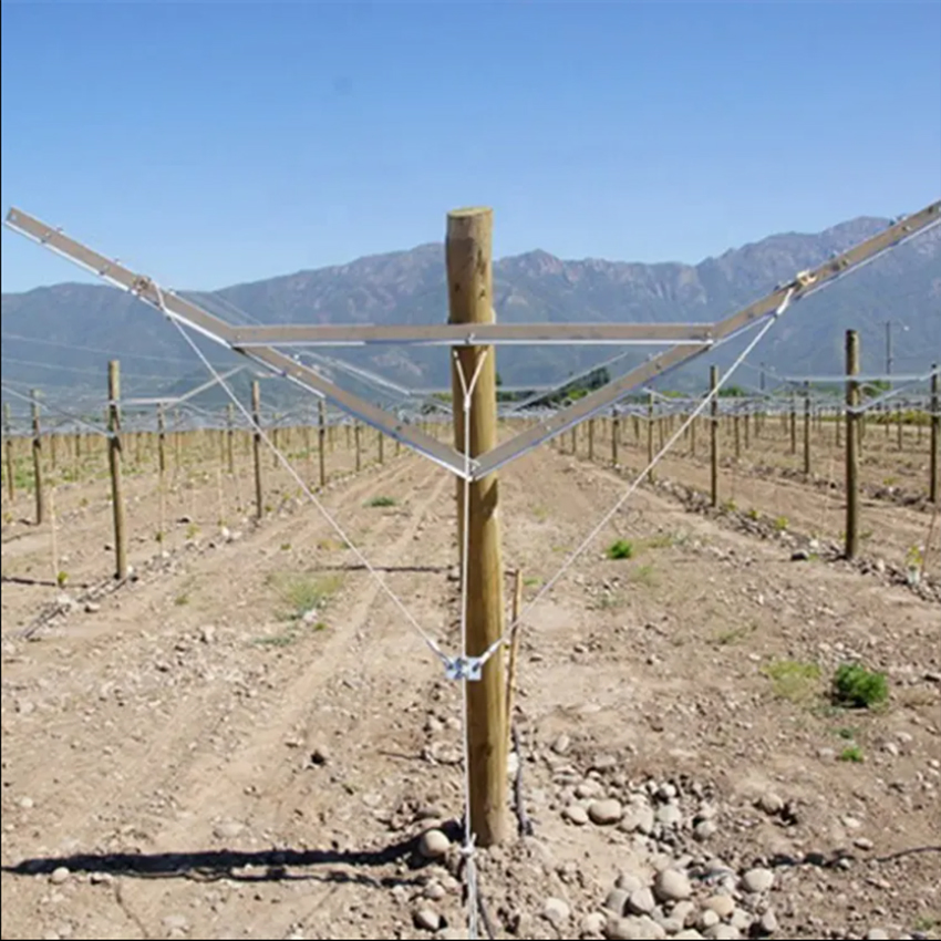 Hot Dipped Galvanized Steel Y Shape Grape Plant Pole Open Gable Vineyard Trellis Post System Metal Orchard Stake Pillars with Rustproof Coating