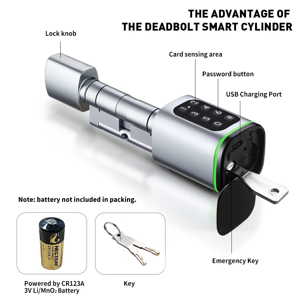 High Security Multi-Unlocking Ways IP65 Password Keyless WiFi Digital Adjustable Modular Profile Tuya/Tt APP Smart Electronic Door Lock Cylinder