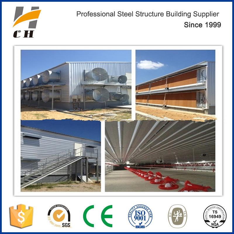 Prefab Steel Structure Poultry Housing Poultry Slaughter House Poultry Farm Construction