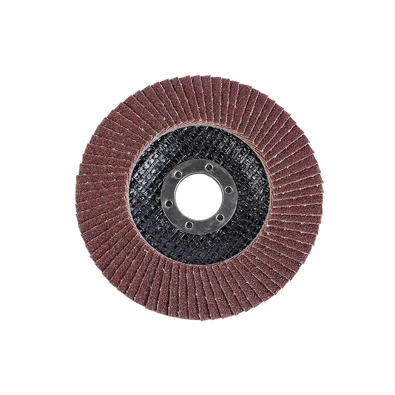 Hautine High Quality Flap Cutting Disc for Steel 115mmx22mm, 40#