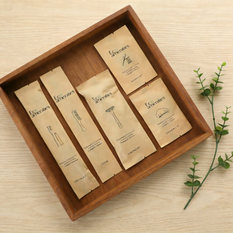 Factory Eco-Friendly Travel Dental Kit Disposable Hotel Toothbrush Set