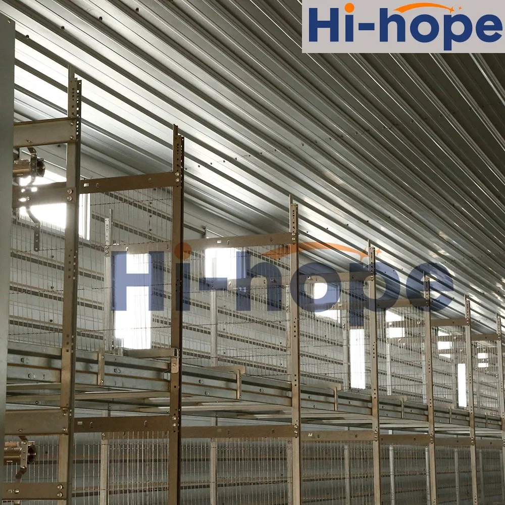 Eco-Conscious Steel Poultry House with Thermal Insulation and Weather Resistant Galvanized Materials