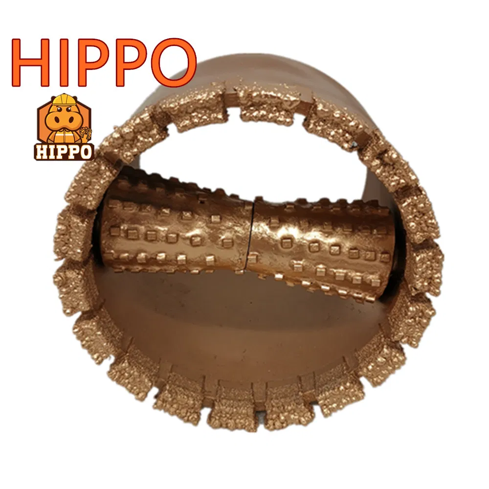 China Manufacturer Electroplated Diamond Bit with Roller for Granite