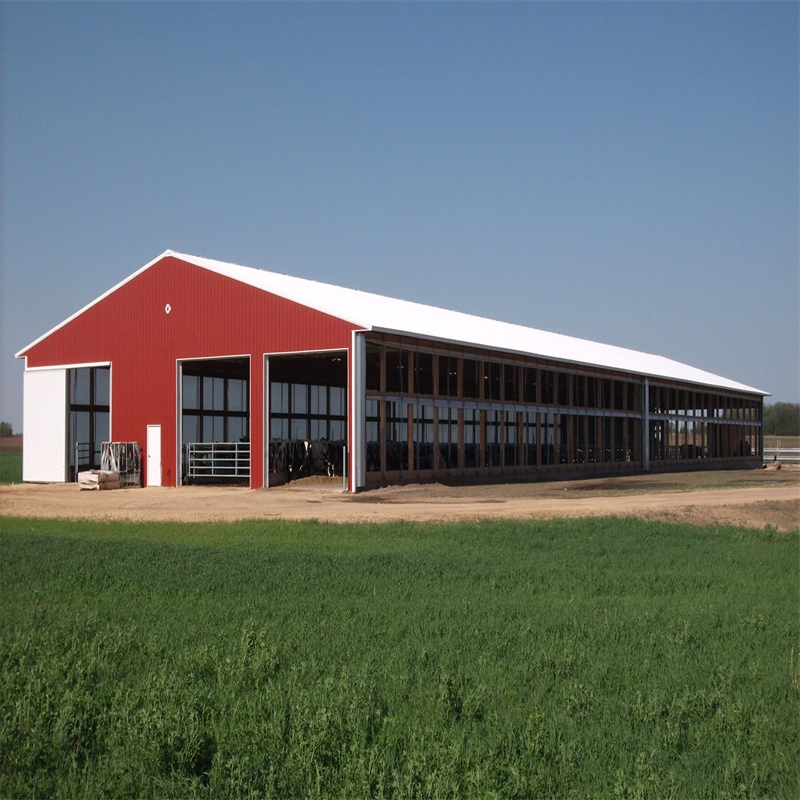 Prefabricated Steel Structure Design Fabricated Construction Cow Shed Farm House