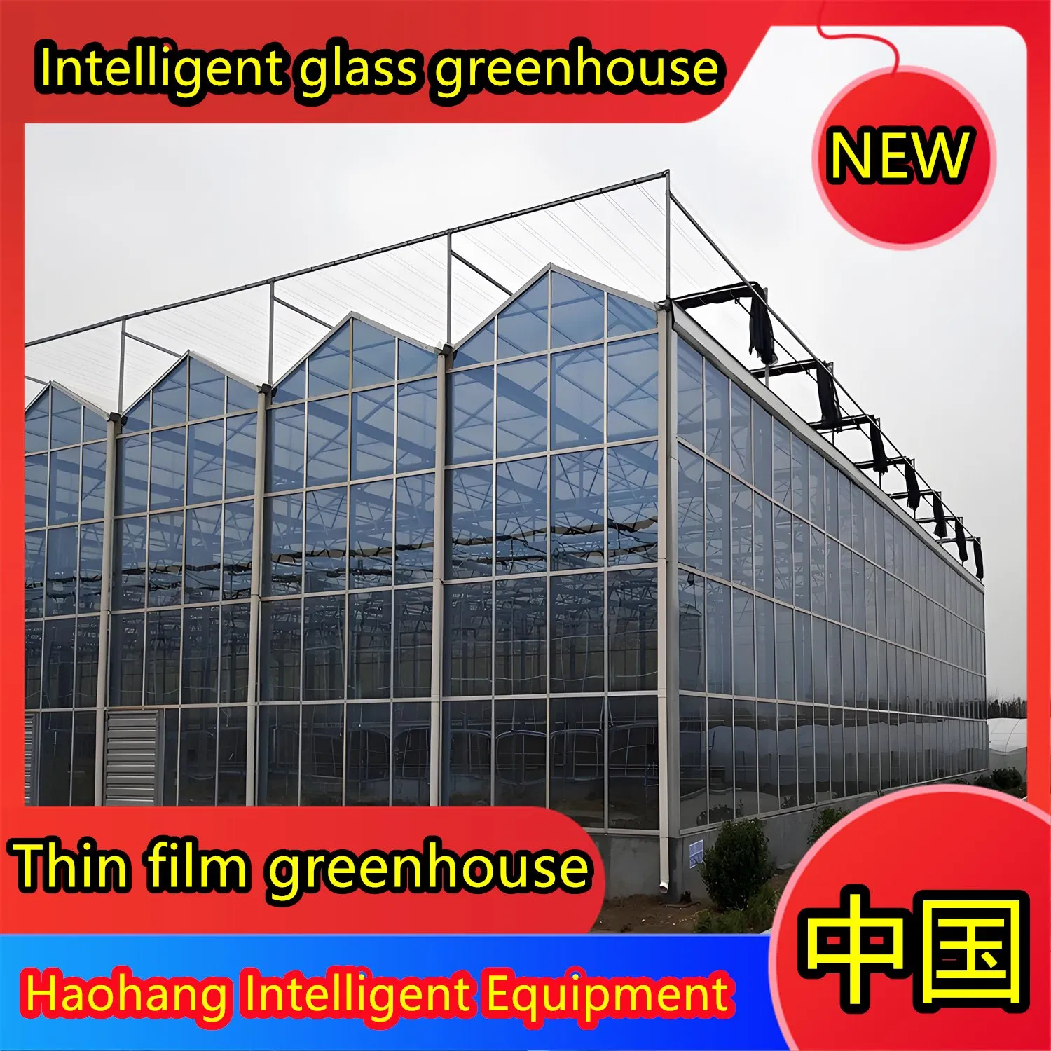 a Connected Greenhouse Manufacturing Plant for Export to Southeast Asia