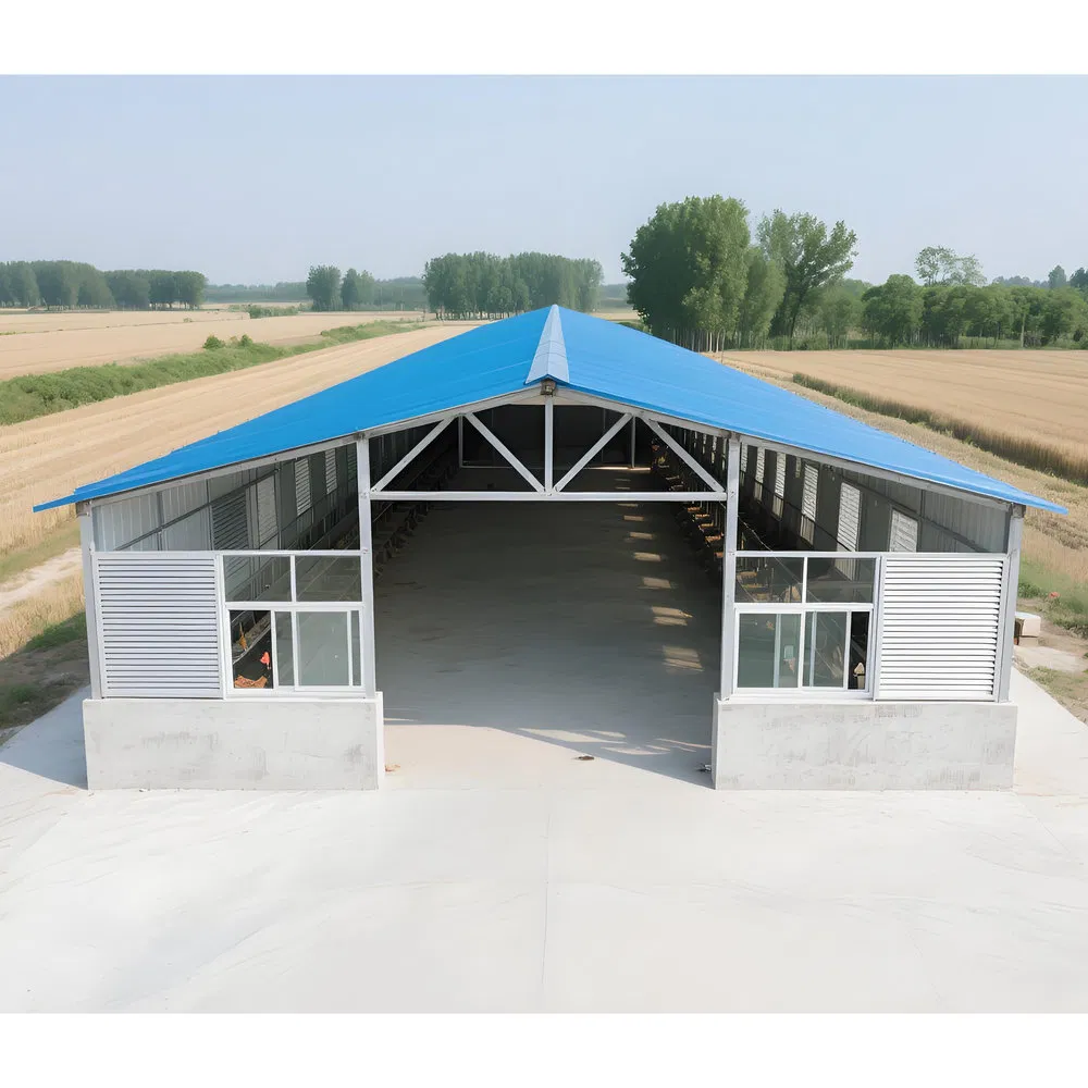 High Space Utilization Mold-Proof Steel Structure Prefabricated Chicken Coop