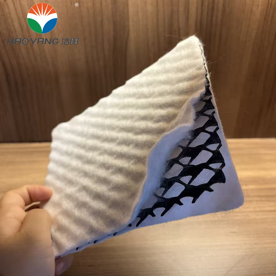 Excellent Drainage Net for Road Construction/Mining Tailings Pond