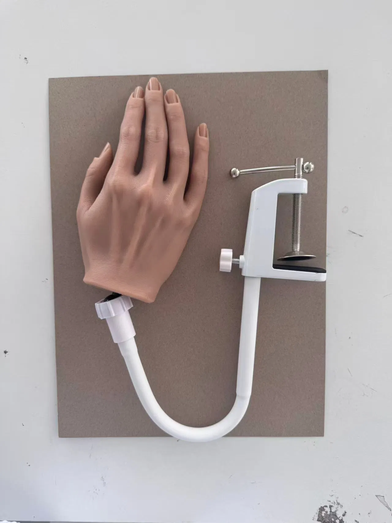 Premium Silicone Hand-Painted Models for Creative Collectors Worldwide