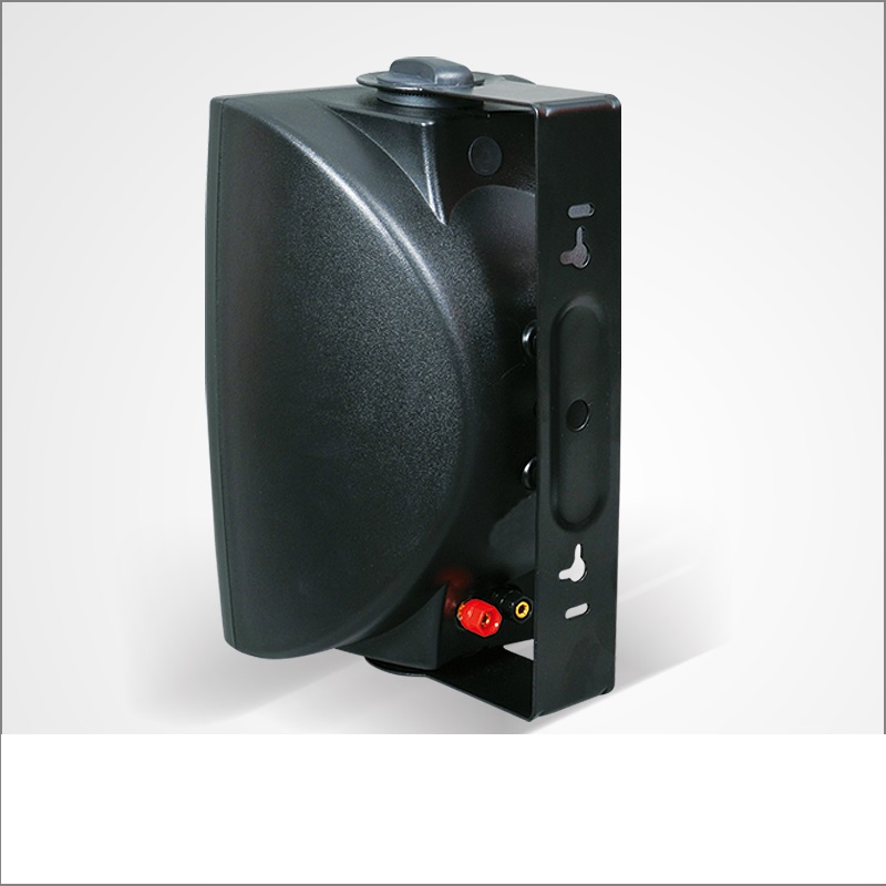 100V 8ohms on Wall Speaker with Two Way Speaker Driver Lbg-5086 40W