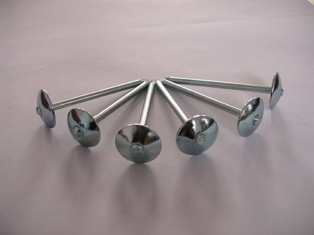 Umbrella Head Twist Shank Galvanized Roofing Nail with Washer (BWG10*2")